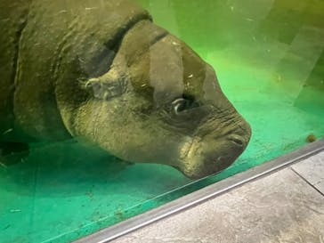 NIFREL（ニフレル）に投稿された画像（2024/3/6）