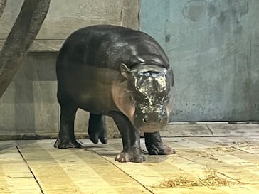 NIFREL（ニフレル）に投稿された画像（2024/3/6）