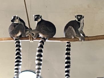 NIFREL（ニフレル）に投稿された画像（2024/3/6）