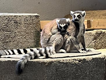 NIFREL（ニフレル）に投稿された画像（2024/3/6）