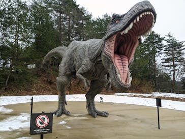 福井県立恐竜博物館に投稿された画像（2024/3/6）