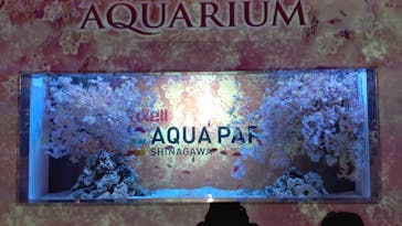 マクセル アクアパーク品川に投稿された画像（2024/3/6）