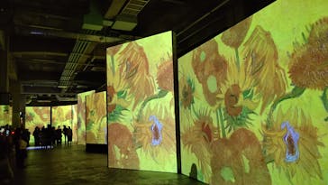 ゴッホ・アライブに投稿された画像（2024/3/6）