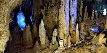 おきなわワールドに投稿された画像（2024/3/6）