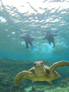 宮古島 ADVENTURE PiPi（ミヤコジマ アドベンチャー ピピ）に投稿された画像（2024/3/7）