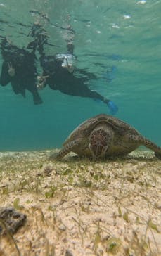 宮古島 ADVENTURE PiPi（ミヤコジマ アドベンチャー ピピ）に投稿された画像（2024/3/7）