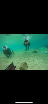 武藤潜水に投稿された画像（2024/3/7）