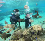 武藤潜水に投稿された画像（2024/3/7）