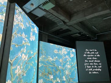 ゴッホ・アライブに投稿された画像（2024/3/7）