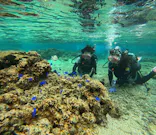 武藤潜水に投稿された画像（2024/3/7）