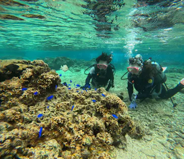 武藤潜水に投稿された画像（2024/3/7）