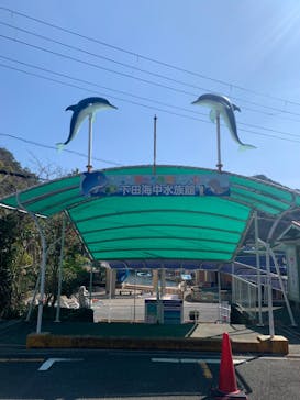 下田海中水族館に投稿された画像（2024/3/7）