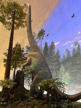 福井県立恐竜博物館に投稿された画像（2024/3/7）