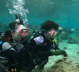 武藤潜水に投稿された画像（2024/3/7）