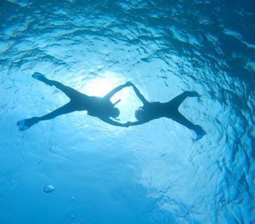 宮古島 ADVENTURE PiPi（ミヤコジマ アドベンチャー ピピ）に投稿された画像（2024/3/7）