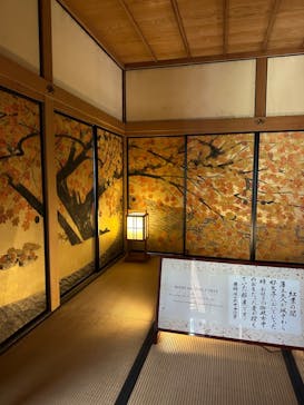 偕楽園本園に投稿された画像（2024/3/7）