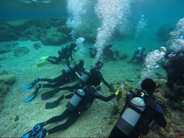 武藤潜水に投稿された画像（2024/3/7）