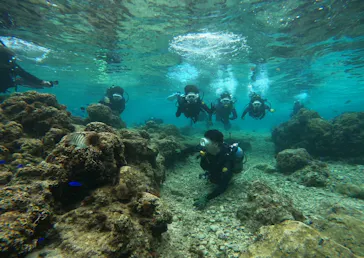 武藤潜水に投稿された画像（2024/3/7）