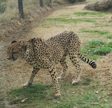 千葉市動物公園に投稿された画像（2024/3/7）