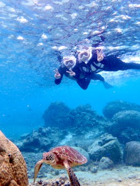 nico 宮古島に投稿された画像（2024/3/7）