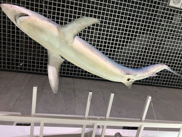 特別展「和食 ～日本の自然、人々の知恵～」に投稿された画像（2024/3/7）