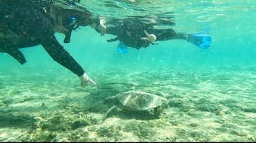 宮古島 ADVENTURE PiPi（ミヤコジマ アドベンチャー ピピ）に投稿された画像（2024/3/7）