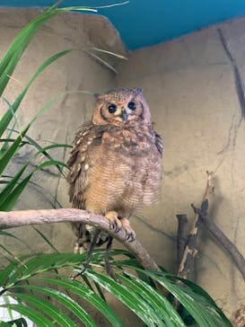 那須どうぶつ王国に投稿された画像（2024/3/7）