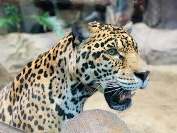 那須どうぶつ王国に投稿された画像（2024/3/7）