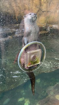 那須どうぶつ王国に投稿された画像（2024/3/7）