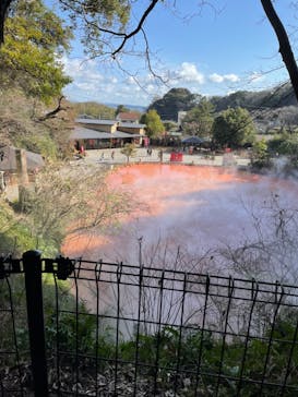 べっぷ地獄めぐりに投稿された画像（2024/3/7）