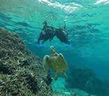 オースリーシュノーケル宮古島に投稿された画像（2024/3/7）