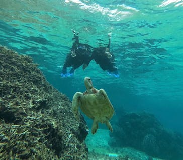 オースリーシュノーケル宮古島に投稿された画像（2024/3/7）