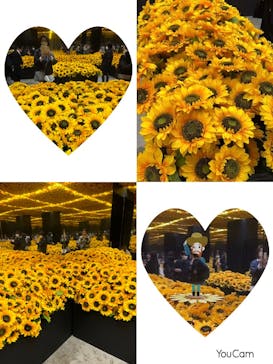 ゴッホ・アライブに投稿された画像（2024/3/7）