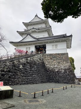小田原城に投稿された画像（2024/3/7）