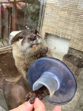 下田海中水族館に投稿された画像（2024/3/7）