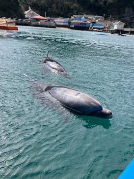 下田海中水族館に投稿された画像（2024/3/7）