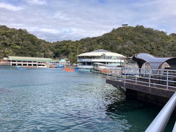下田海中水族館に投稿された画像（2024/3/7）