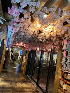 おふろcafé 白寿の湯に投稿された画像（2024/3/7）