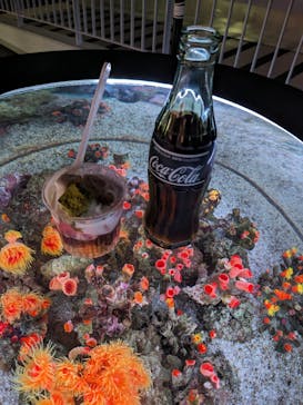 マクセル アクアパーク品川に投稿された画像（2024/3/7）