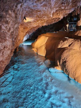 おきなわワールドに投稿された画像（2024/3/7）