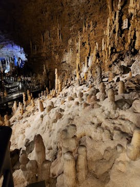 おきなわワールドに投稿された画像（2024/3/7）