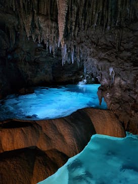 おきなわワールドに投稿された画像（2024/3/7）