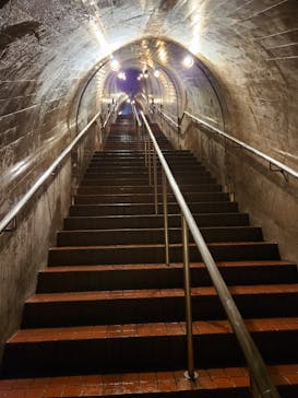 おきなわワールドに投稿された画像（2024/3/7）