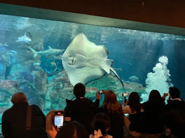 大分マリーンパレス水族館 「うみたまご」に投稿された画像（2024/3/7）