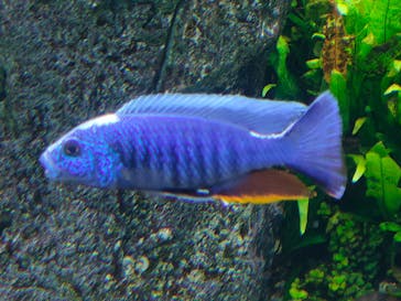 DMMかりゆし水族館に投稿された画像（2024/3/7）