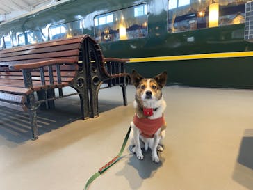 京都鉄道博物館に投稿された画像（2024/3/7）