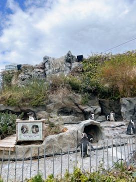 サンシャイン水族館に投稿された画像（2024/3/7）