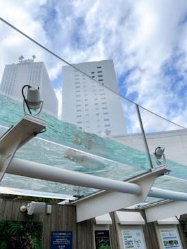 サンシャイン水族館に投稿された画像（2024/3/7）