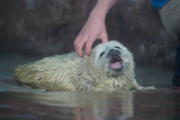 しながわ水族館に投稿された画像（2024/3/8）