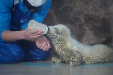 しながわ水族館に投稿された画像（2024/3/8）